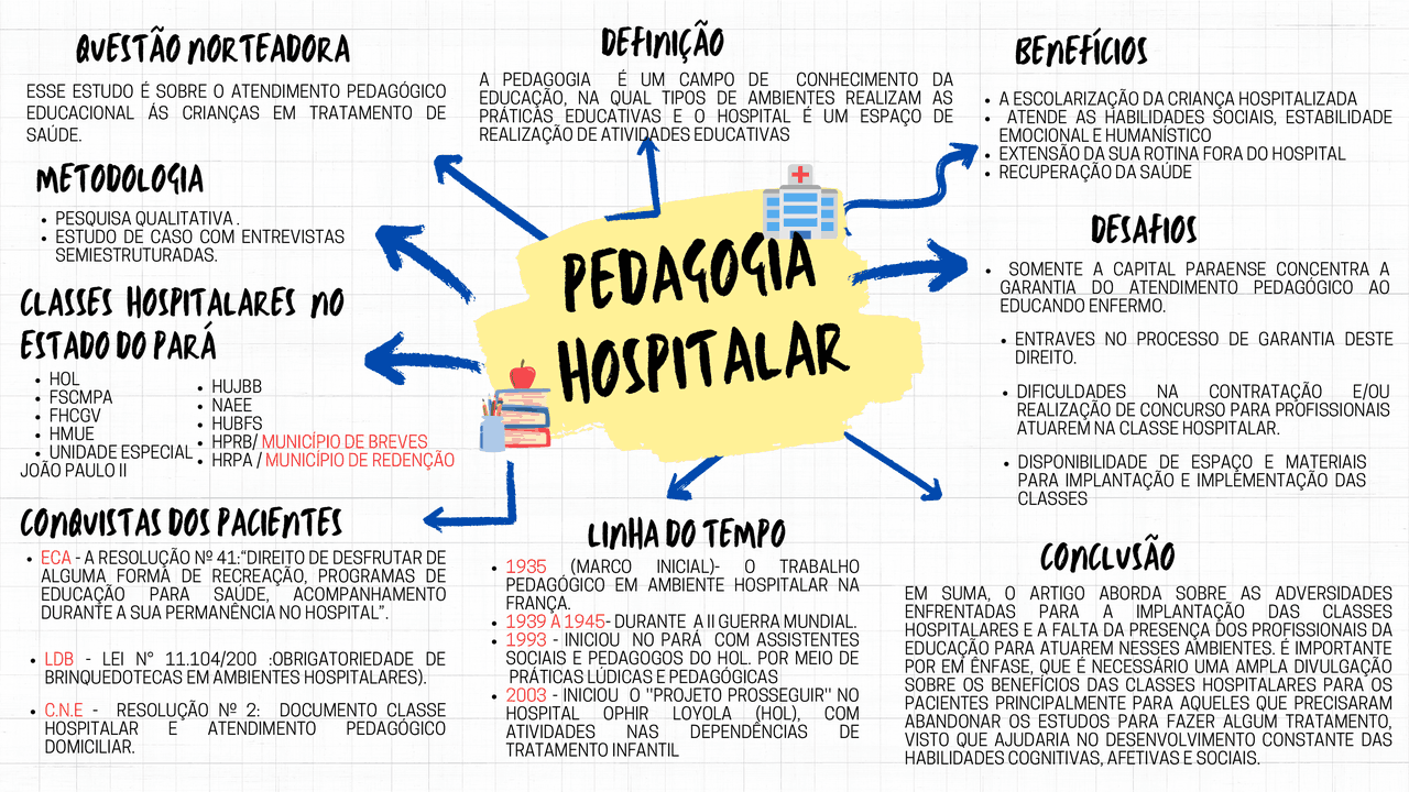 PEDAGOGIA HOSPITALAR | Esquemas Sociedade e Meio Ambiente | Docsity