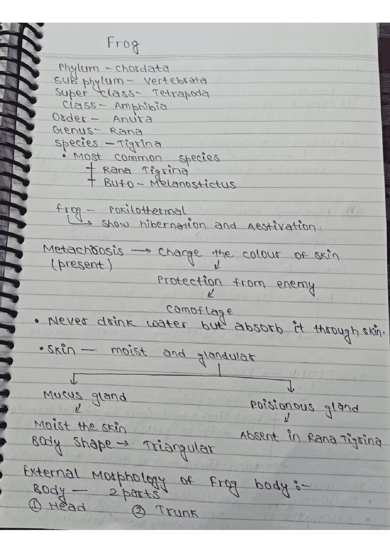 Frog Notes for preparation for NEET Study notes Biology Docsity