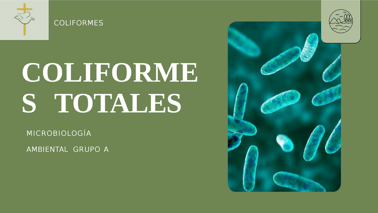Microbiología Coliformes Totales | Diapositivas de Microbiología ...