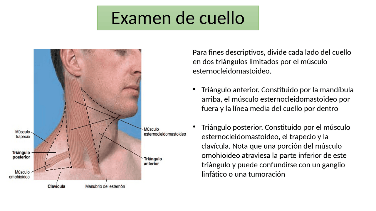Examen de cuello y venas | Apuntes de Diagnóstico | Docsity