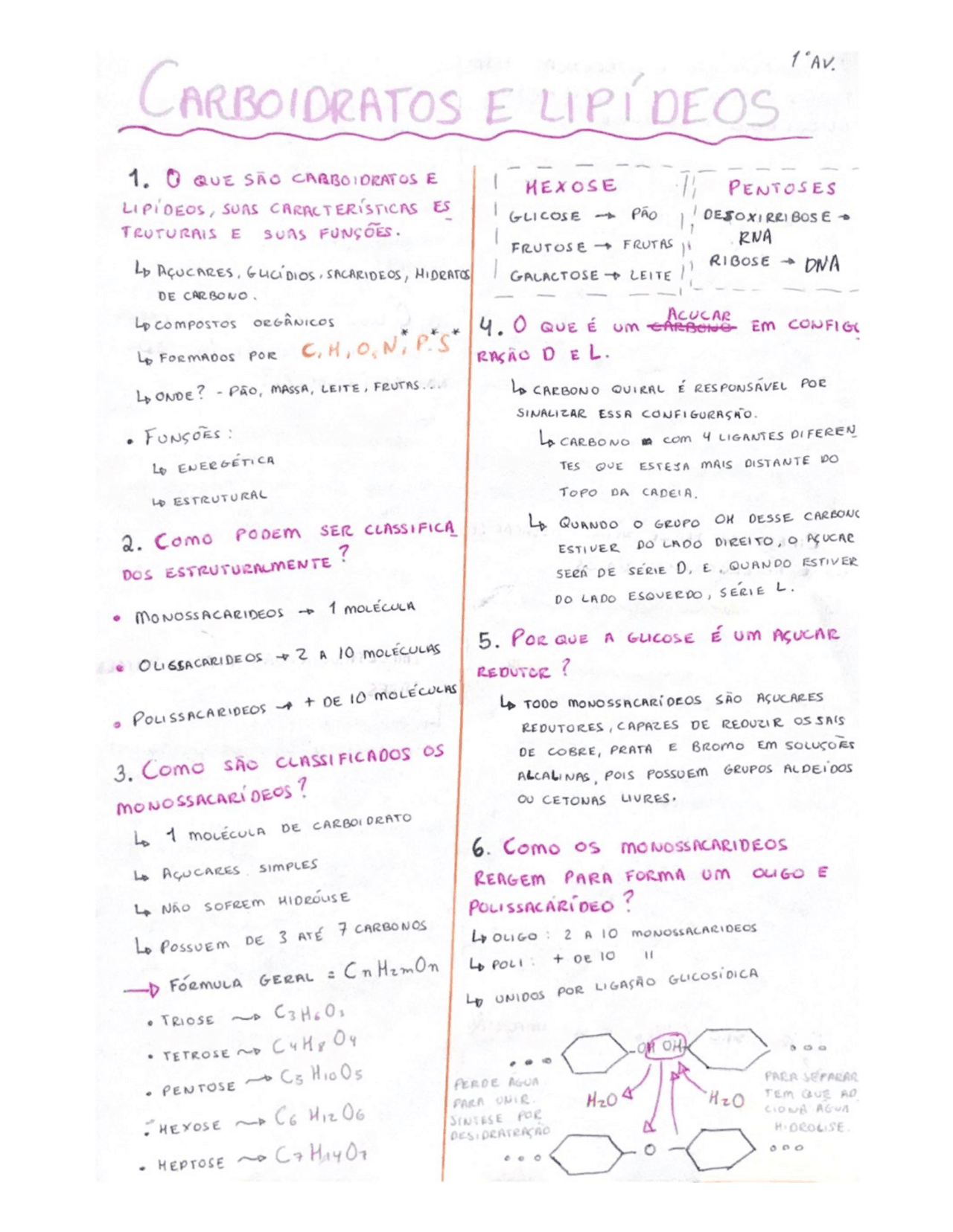 Resumo completo e detalhado de Bioquímica - Carboidratos e Lipídios ...