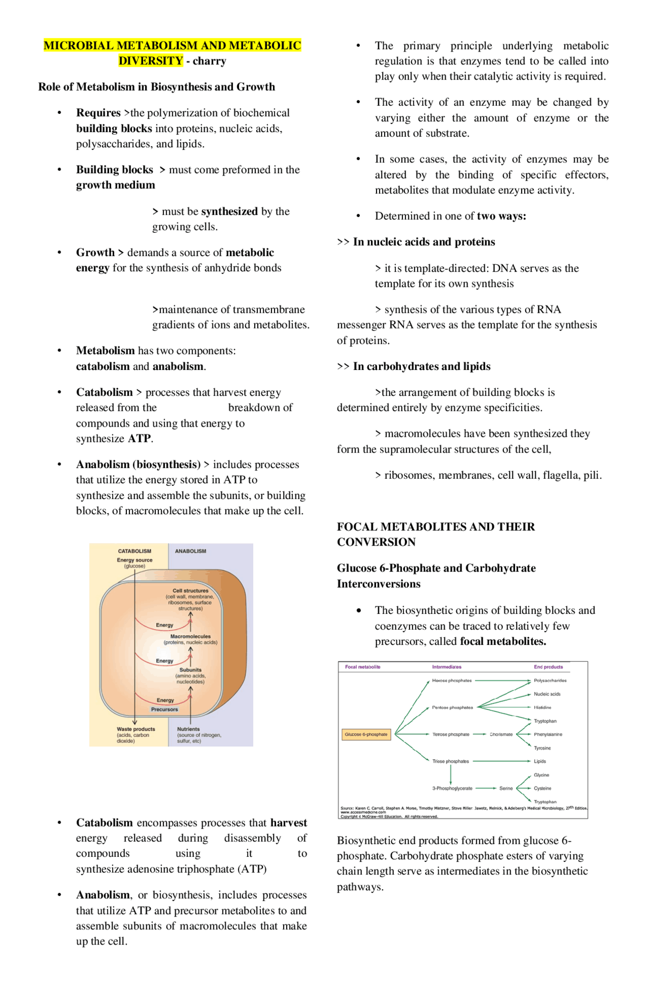 Handout Advanced Microbiology | Study notes Microbiology | Docsity