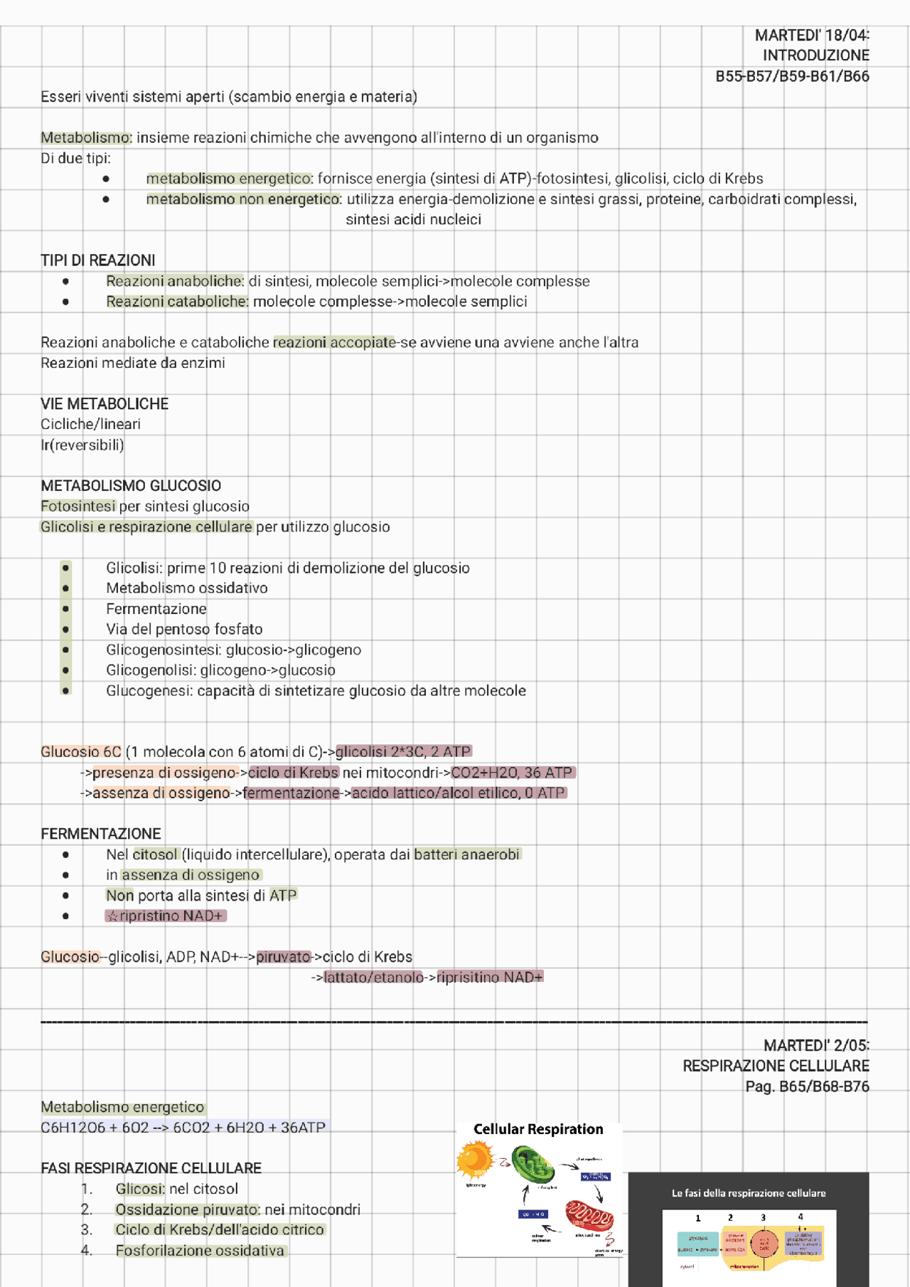 Biologia Metabolismo Cellulare Appunti Di Biologia Docsity biologia-metabolismo-cellulare-appunti-di-biologia-docsity