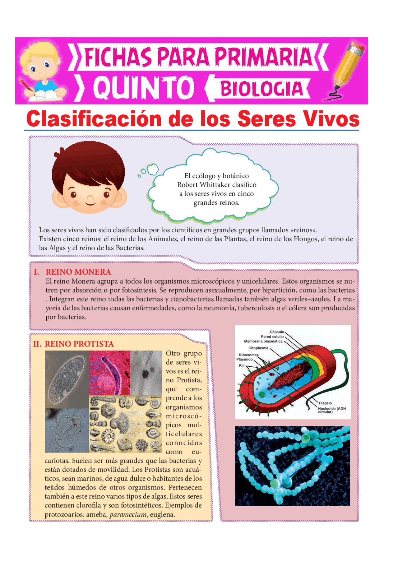 ficha de ciencia y tecnología | Apuntes de Ingeniería Ciencia y Tecnología  | Docsity