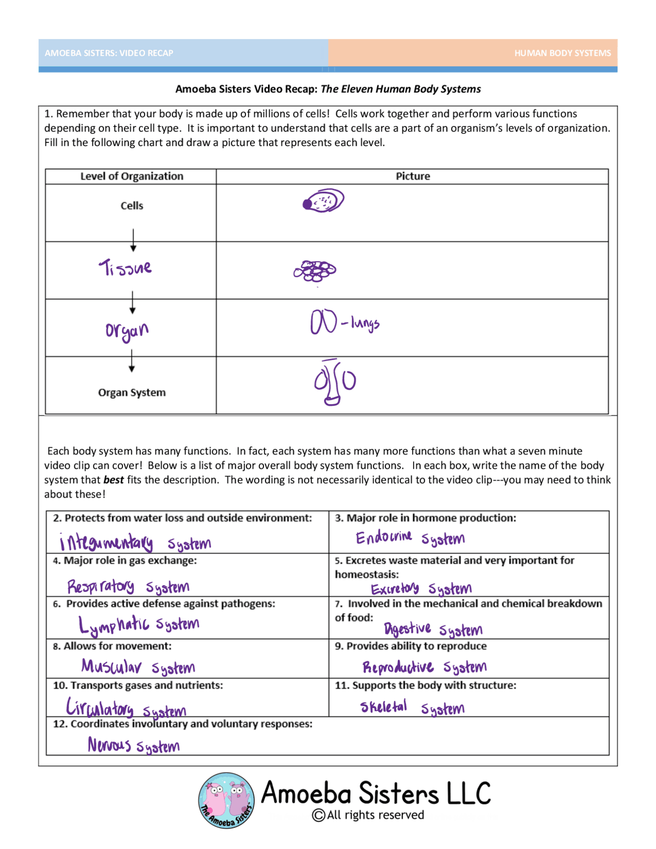 Body systems amoeba sisters | Assignments Biology | Docsity