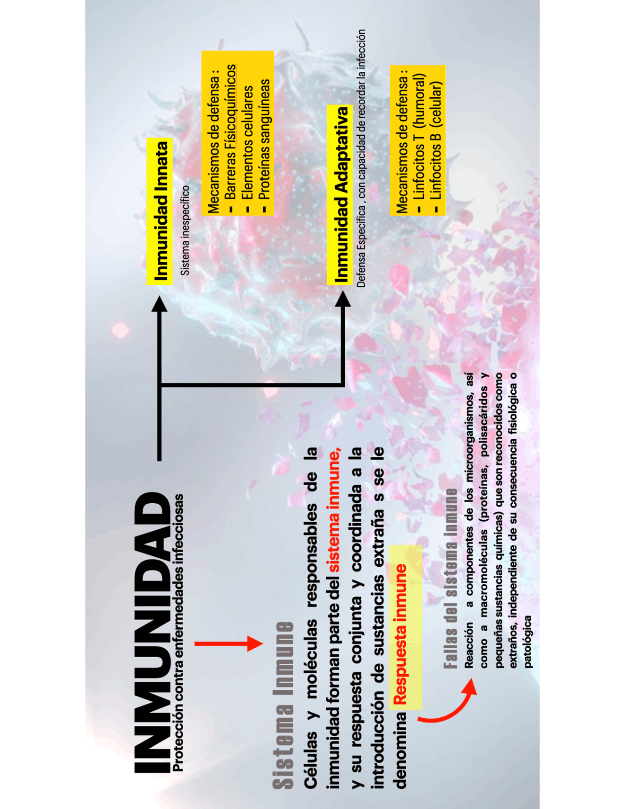Características básicas entre inmunidad innata y adaptativa ...
