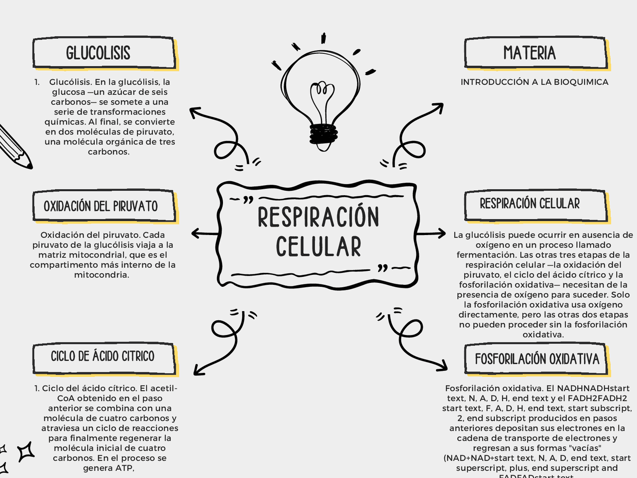 Mapa Mental De La Respiración Celular