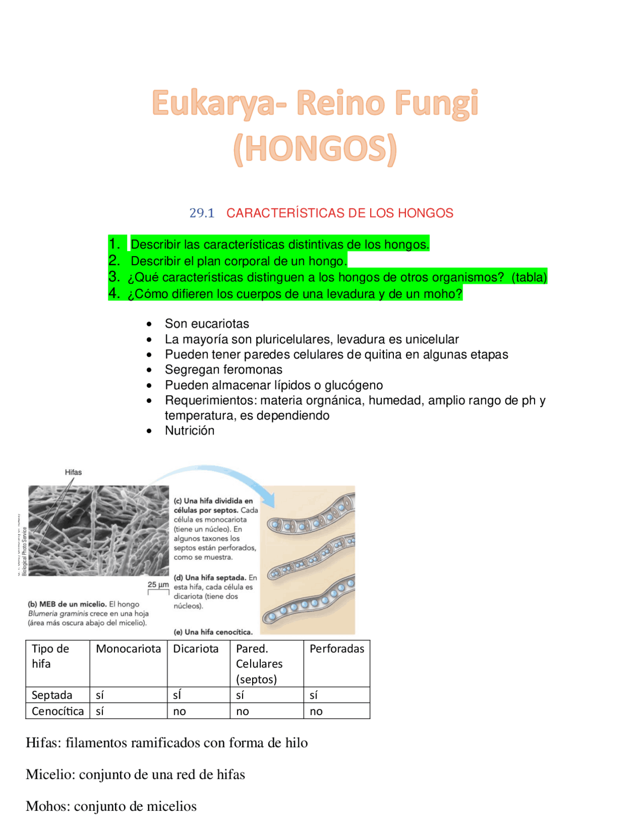 Reino fungi dominio eukarya | Apuntes de Biología | Docsity