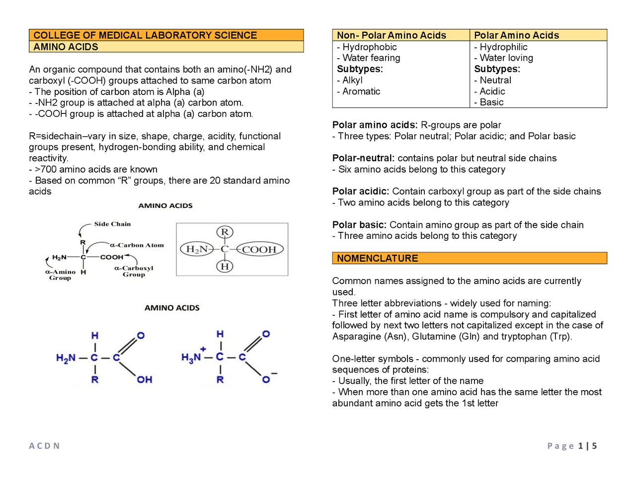 Review of amino acids | Study notes Bioorganic Chemistry | Docsity