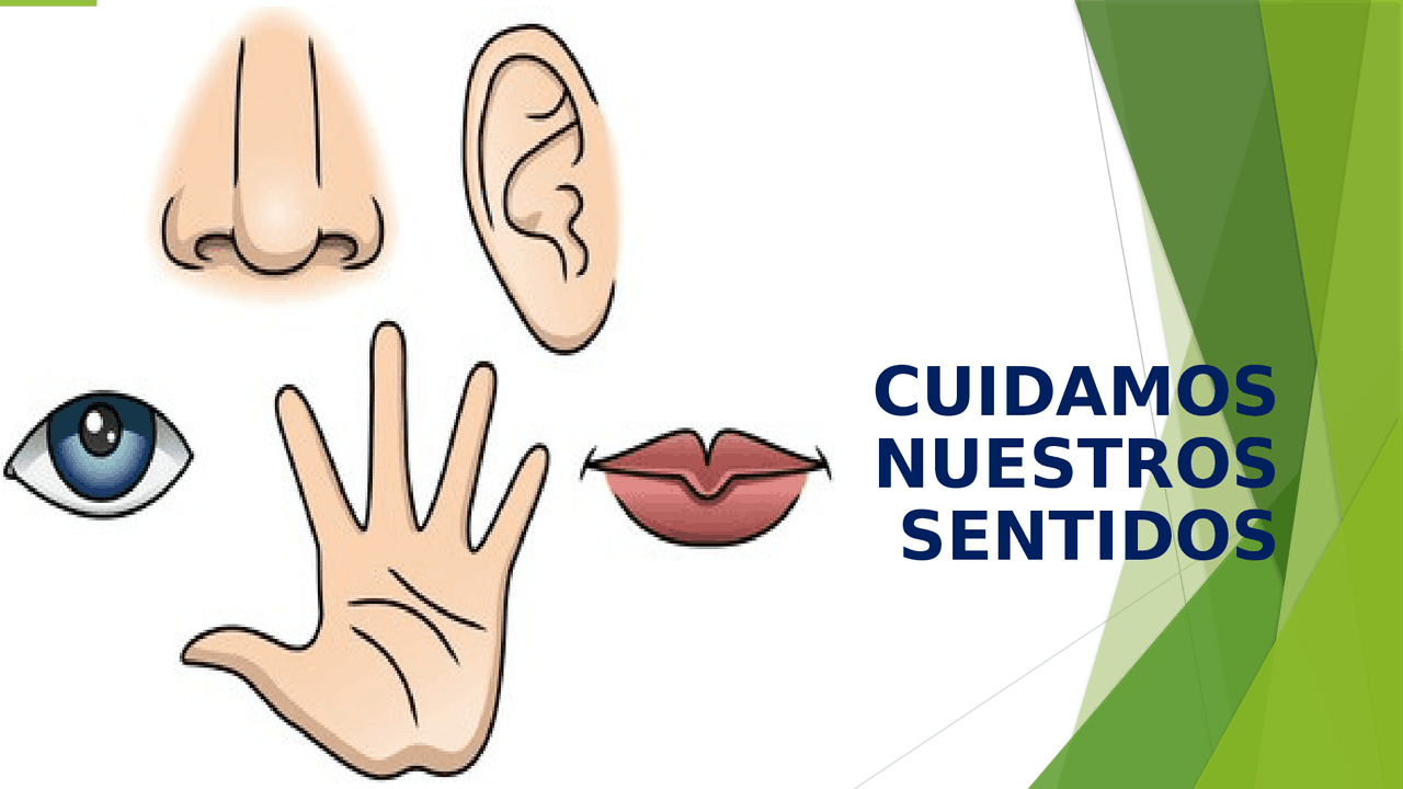 LOS SENTIDOS Y SUS CUIDADOS Y SU IMPORTANCIA | Apuntes de Historia de