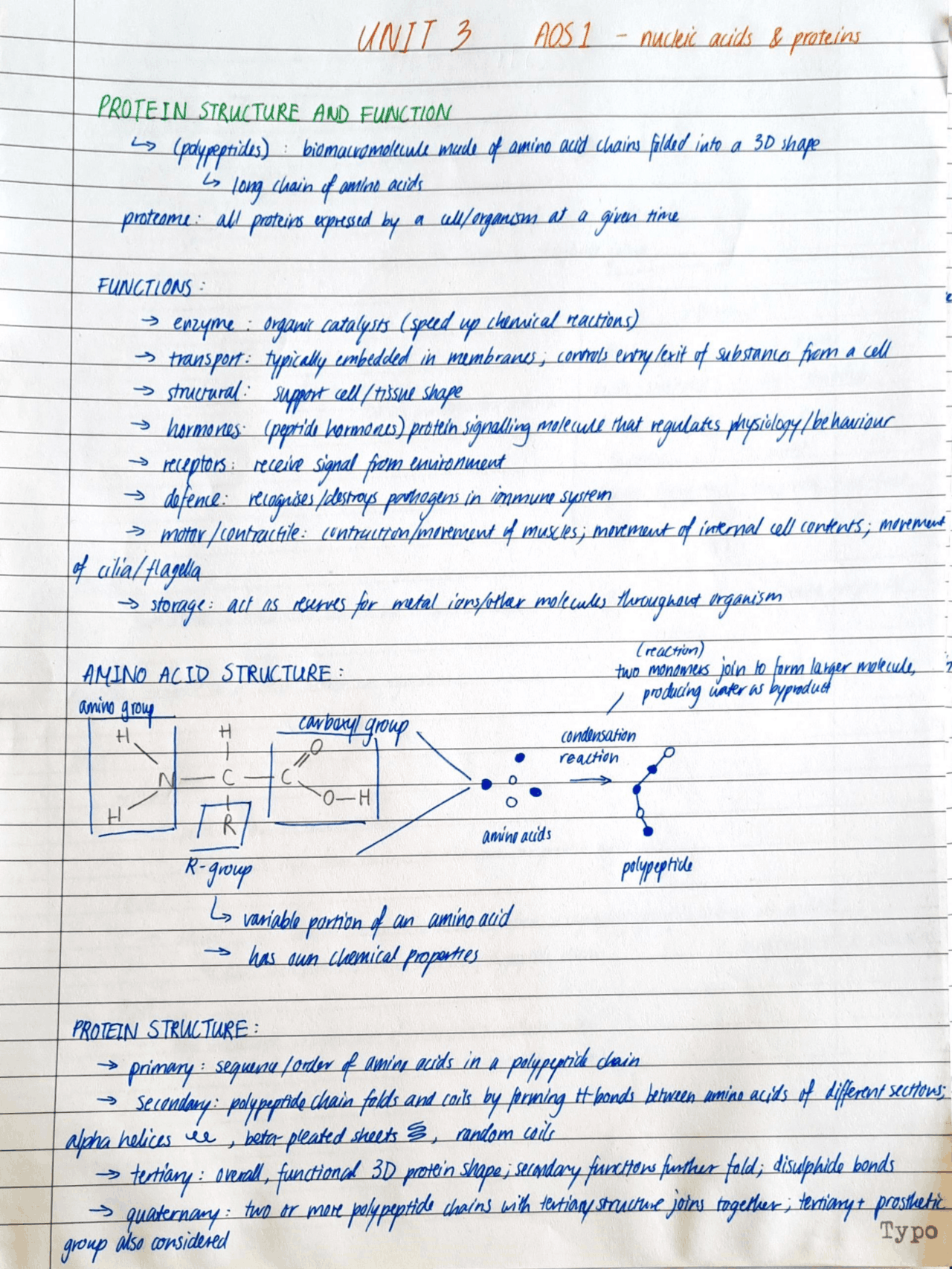 Nucleic Acids and Proteins (Unit 3 AOS1) | Study notes Biology | Docsity
