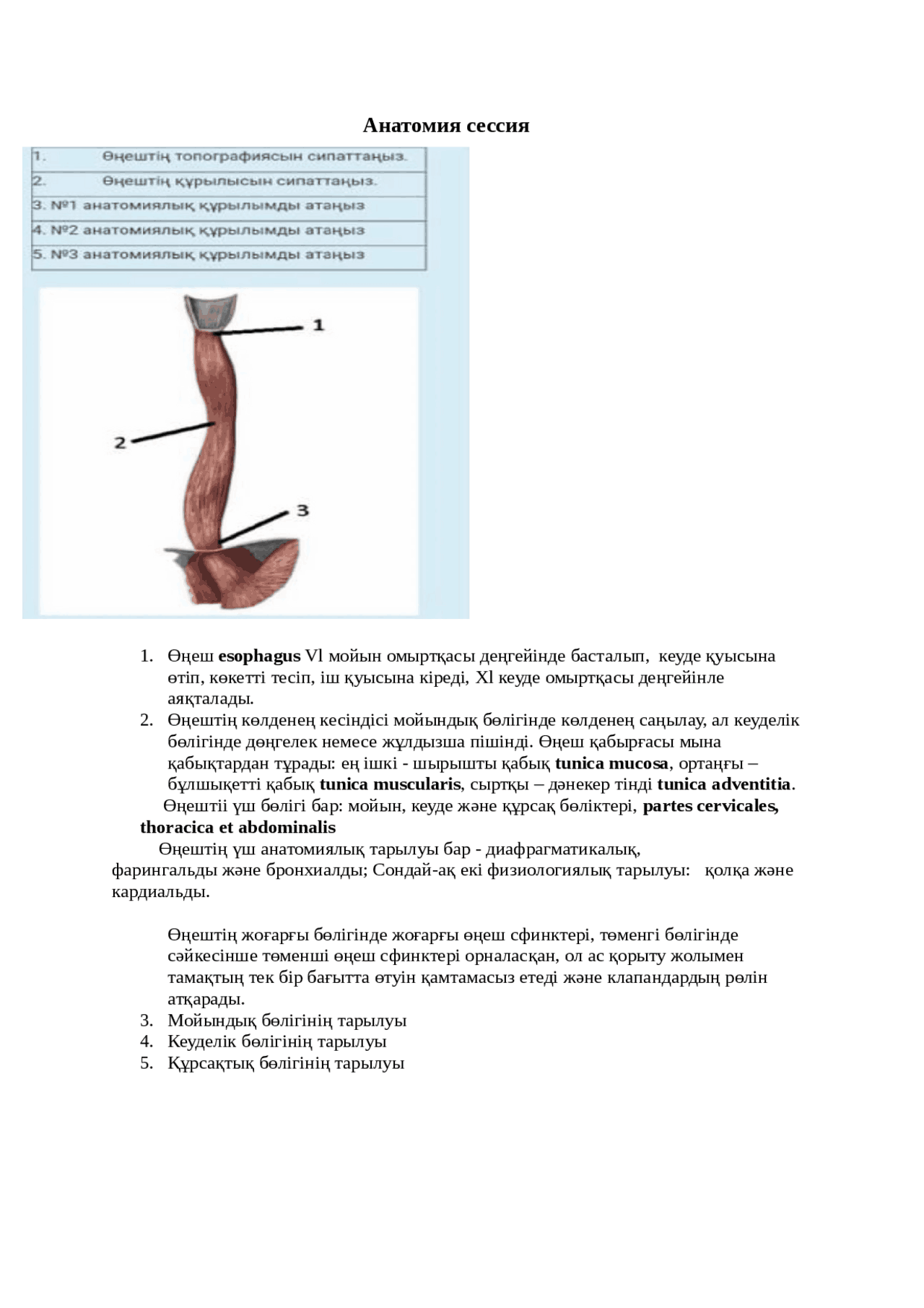 Моншадағы секс
