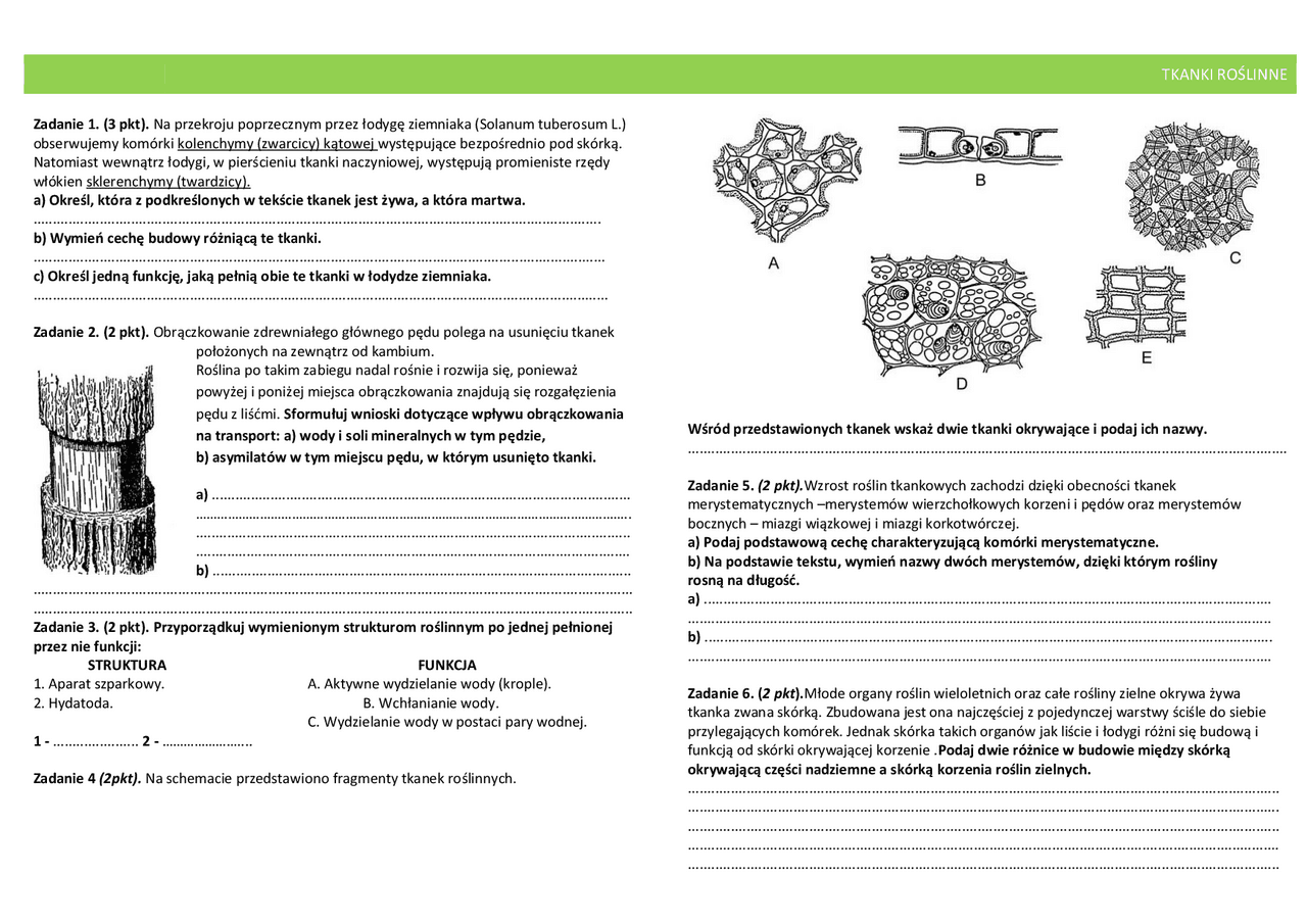 Ćwiczenia biologia , zadania | Ćwiczenia Biologia | Docsity