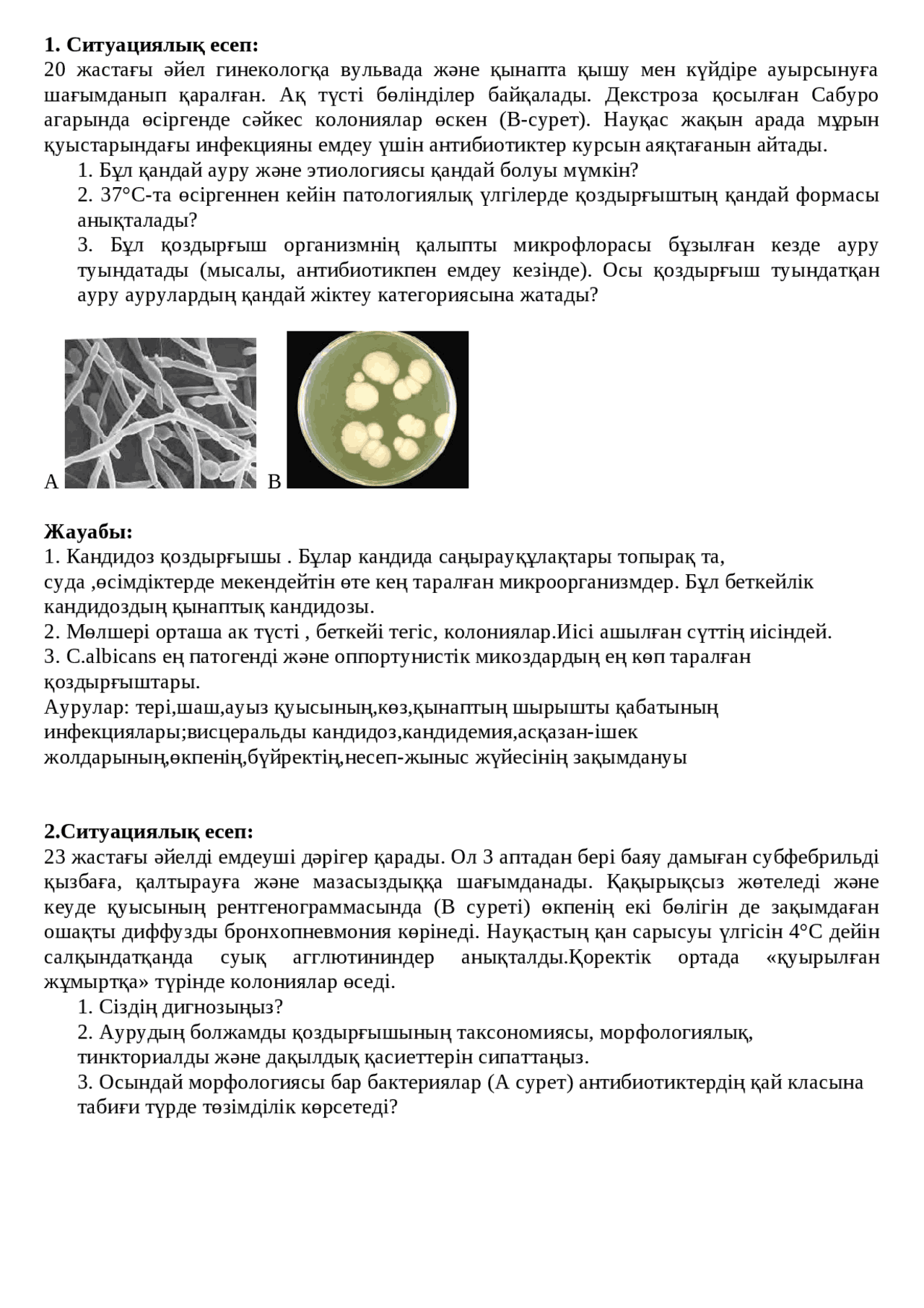 Ferro Network-тен порно фильмдерді қараңыз