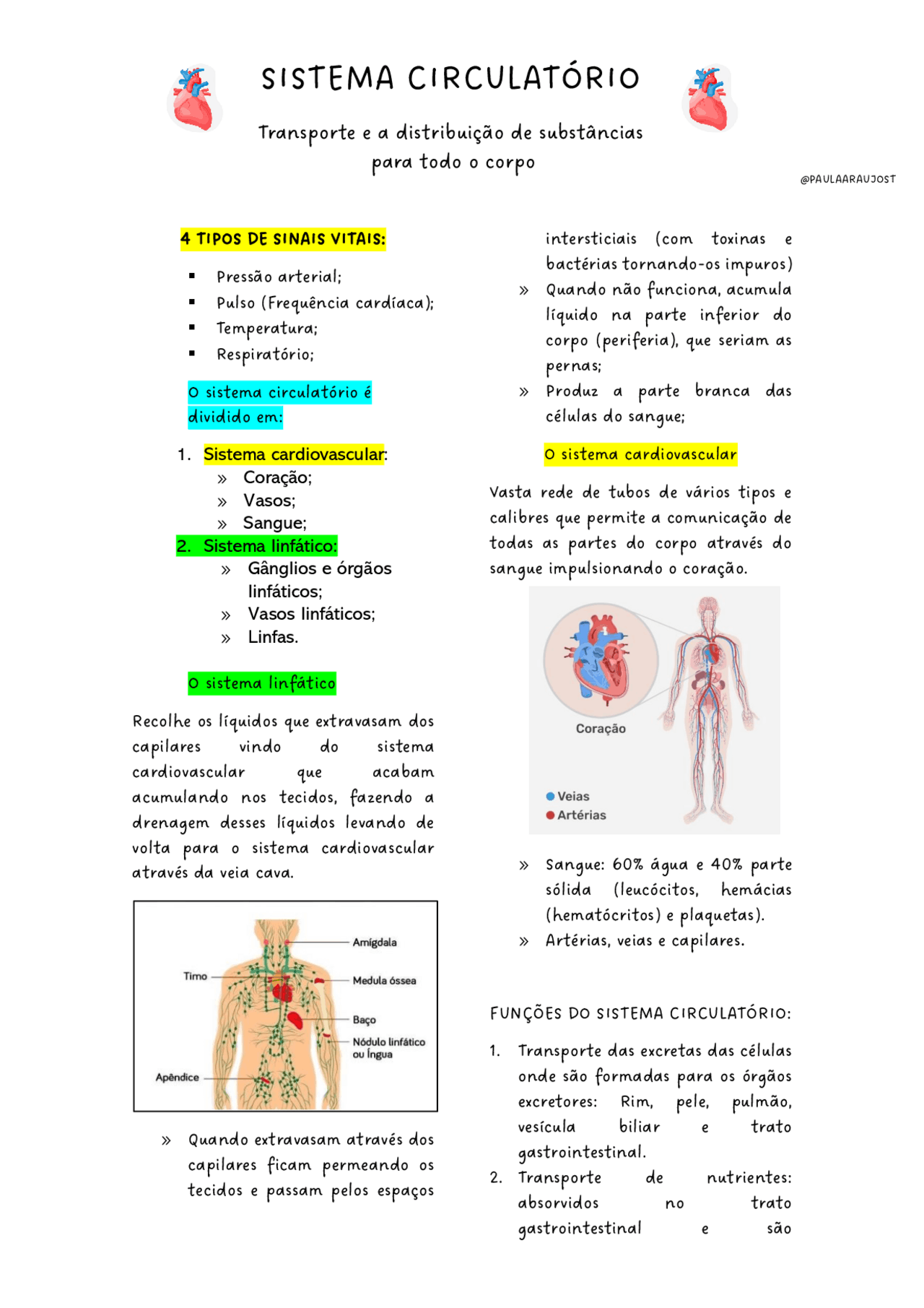 Introdução ao sistema circulatório | Resumos Fisiologia | Docsity