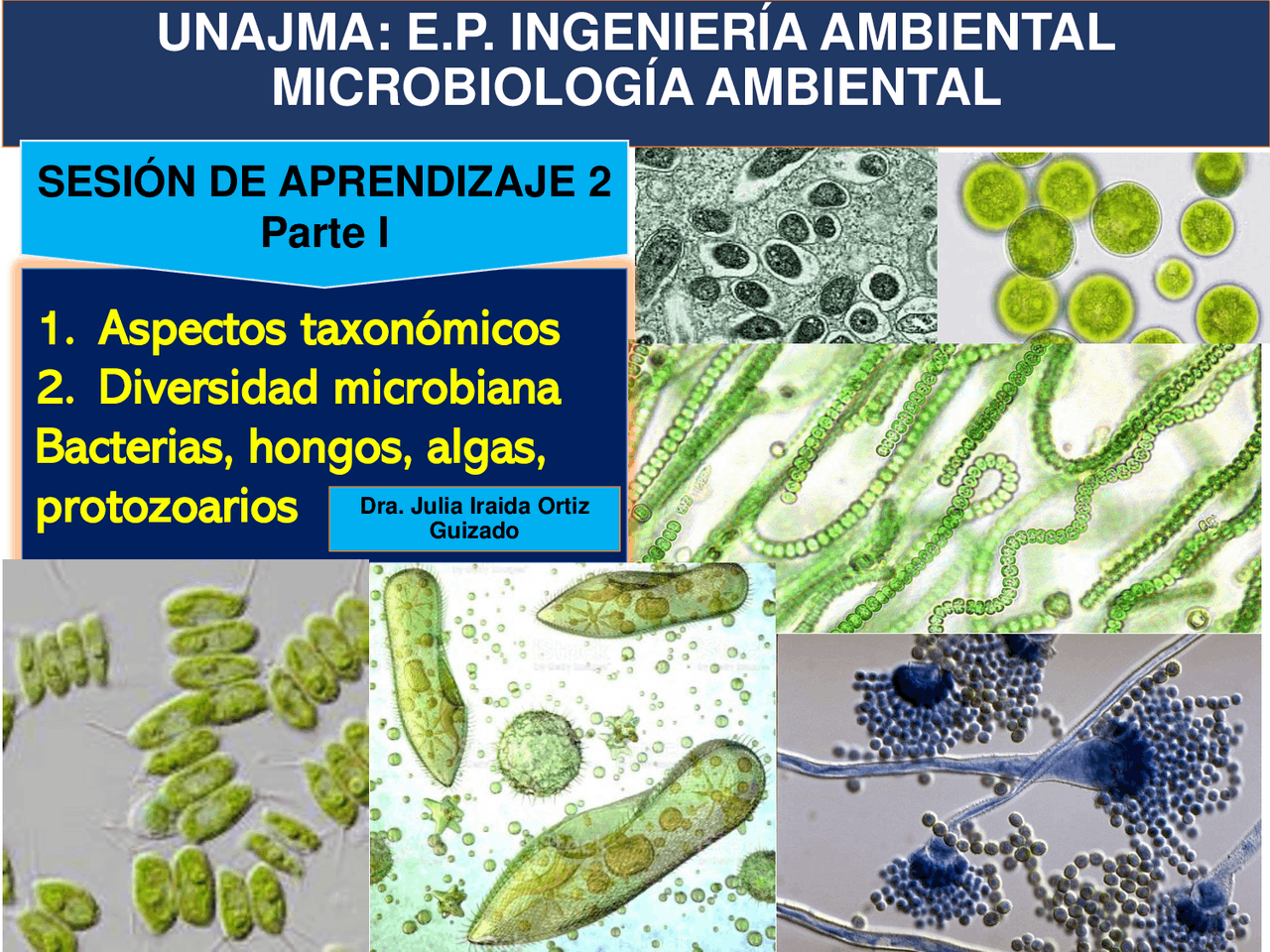 Introducción a la Microbiología Ambiental: Taxonomía y Clasificación de  Microorganismos | Diapositivas de Biología | Docsity