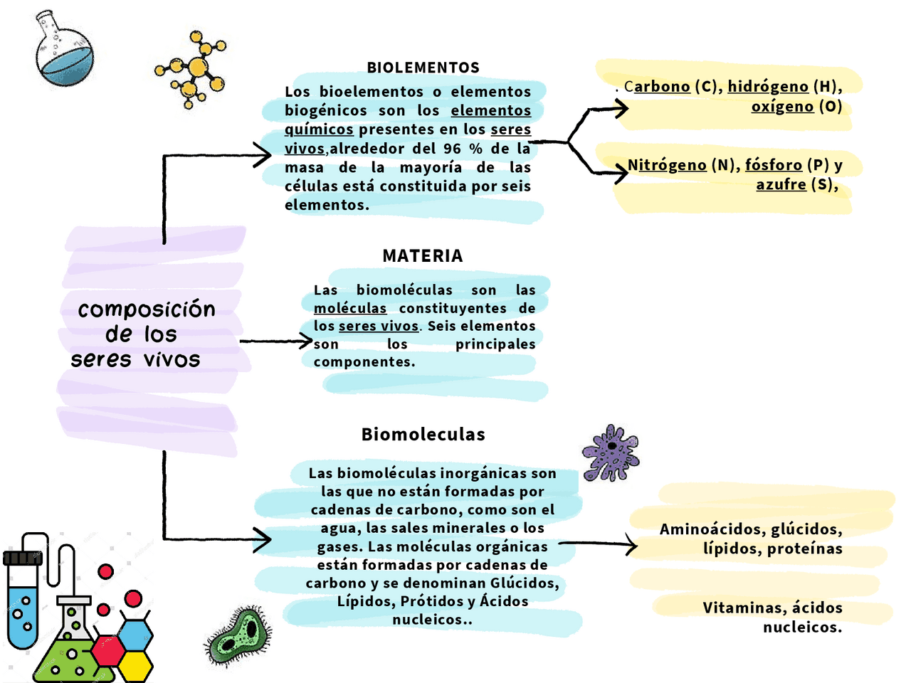 Esquema sobre los componentes de los seres vivos | Guías, Proyectos ...