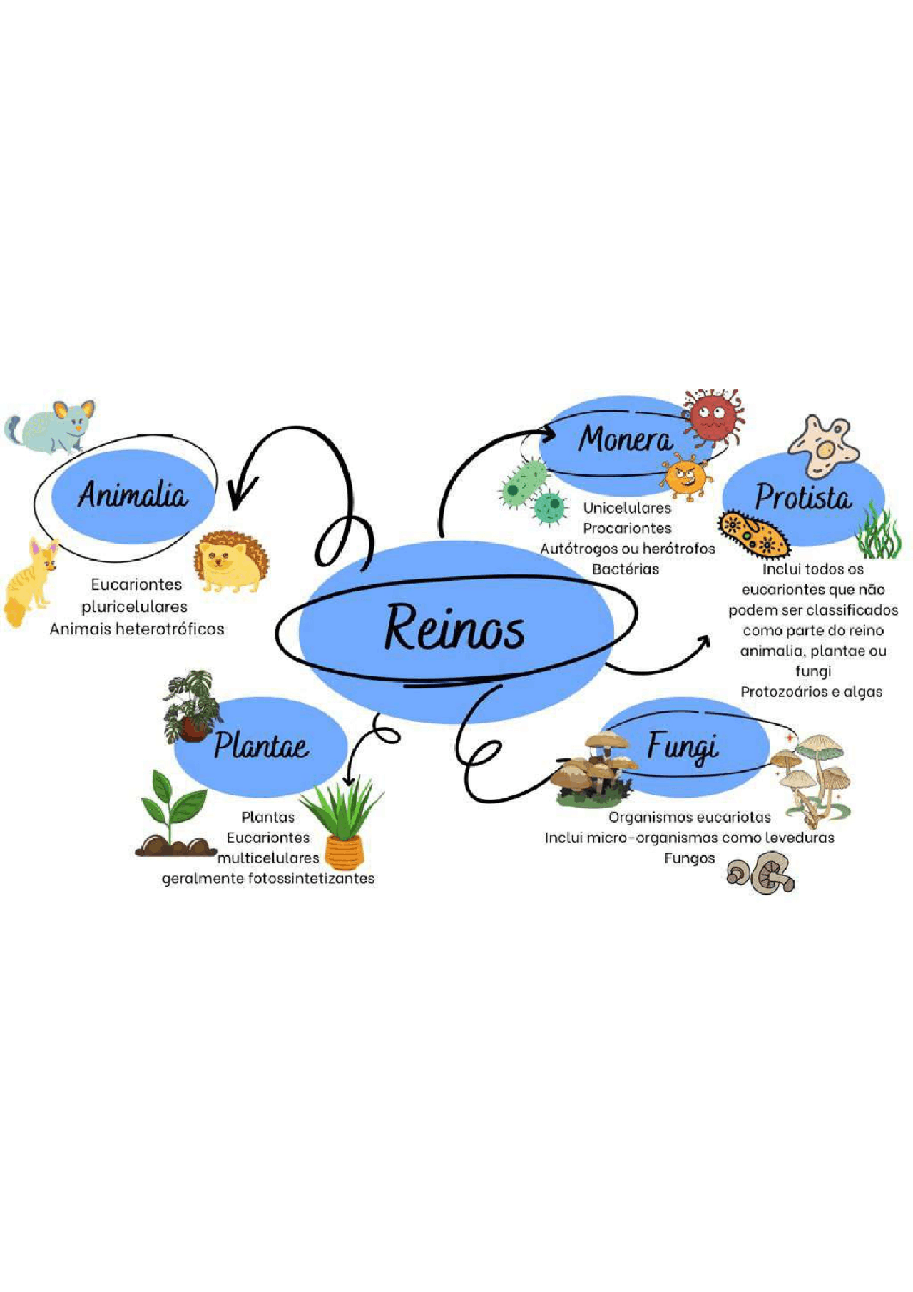 Mapa Mental Reinos (Biologia) | Notas de estudo Biologia | Docsity