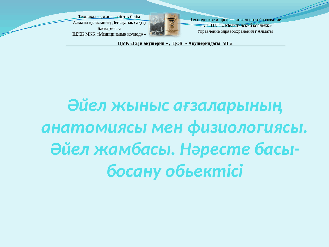 Алла Юрьевнадан жыныстық анатомия сабақтары 3