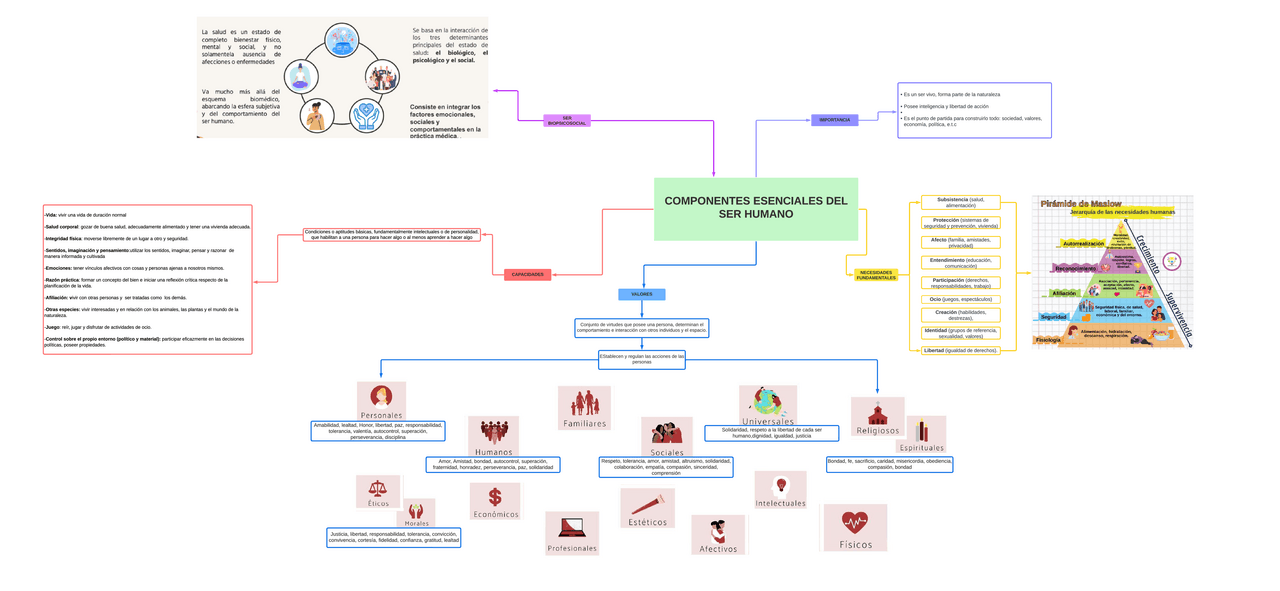 componentes esenciales del ser humano | Esquemas y mapas conceptuales ...