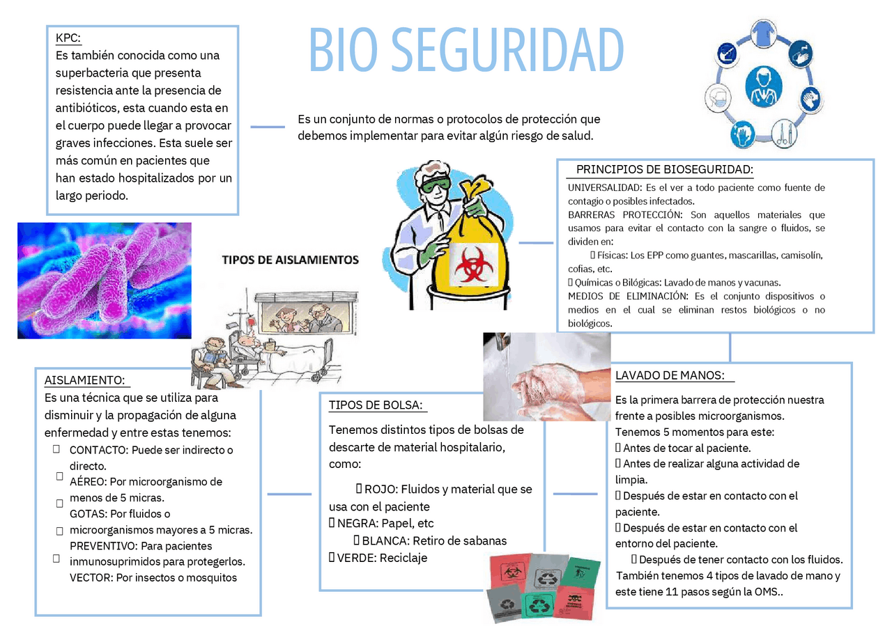 Medidas De Bioseguridad En Laboratorio Esquemas Y Mapas Conceptuales