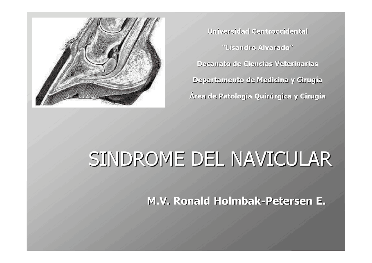 Sindrome Del Navicular | Guías, Proyectos, Investigaciones de Cirugía ...