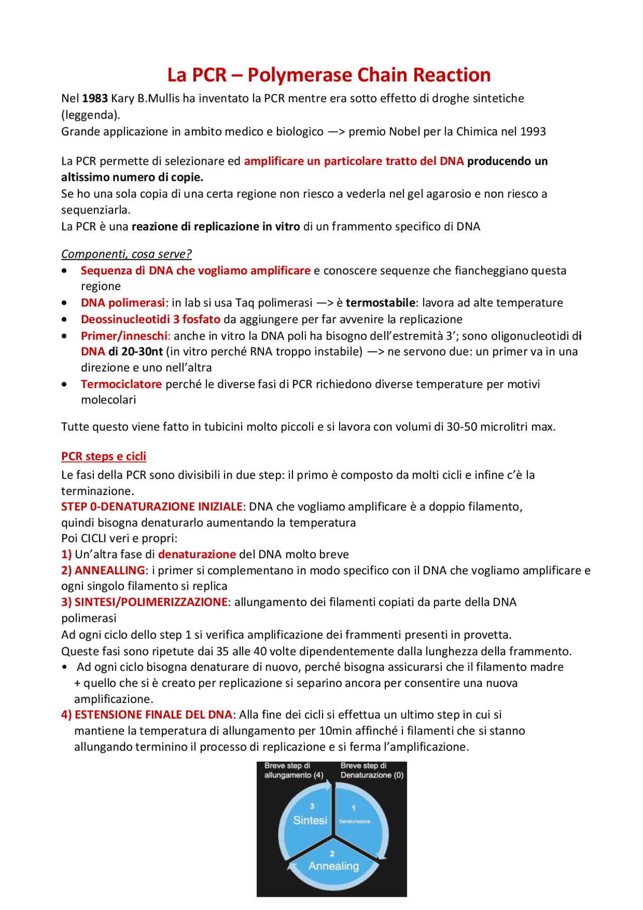 La PCR: cos’è e come funziona | Dispense di Biologia Molecolare | Docsity