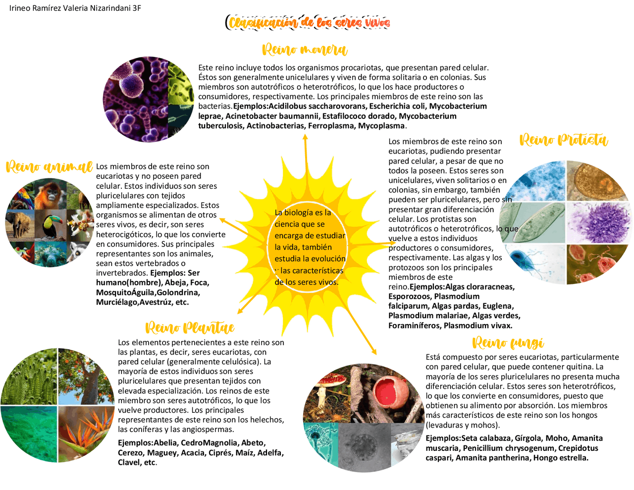 Clasificación de los reinos | Apuntes de Biología | Docsity