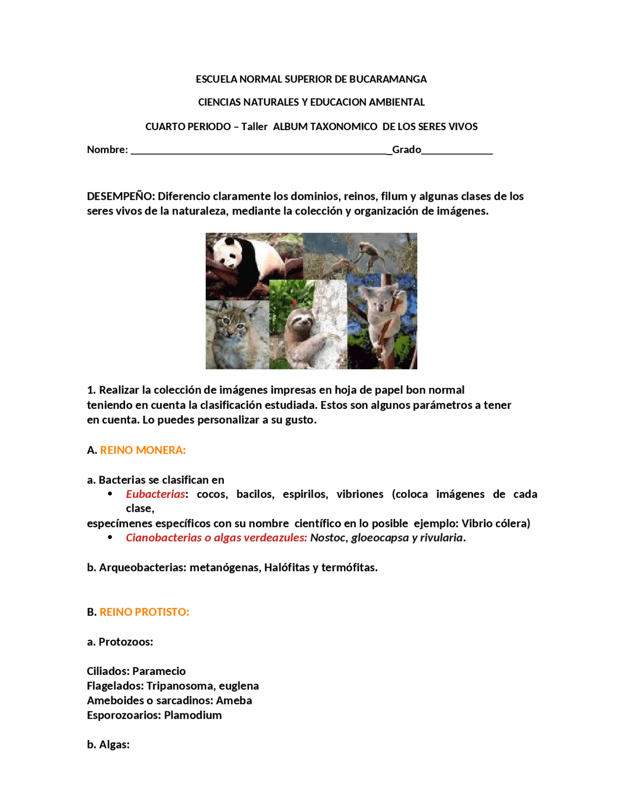 Instrucciones para realizar album taxonomico | Ejercicios de Biología |  Docsity