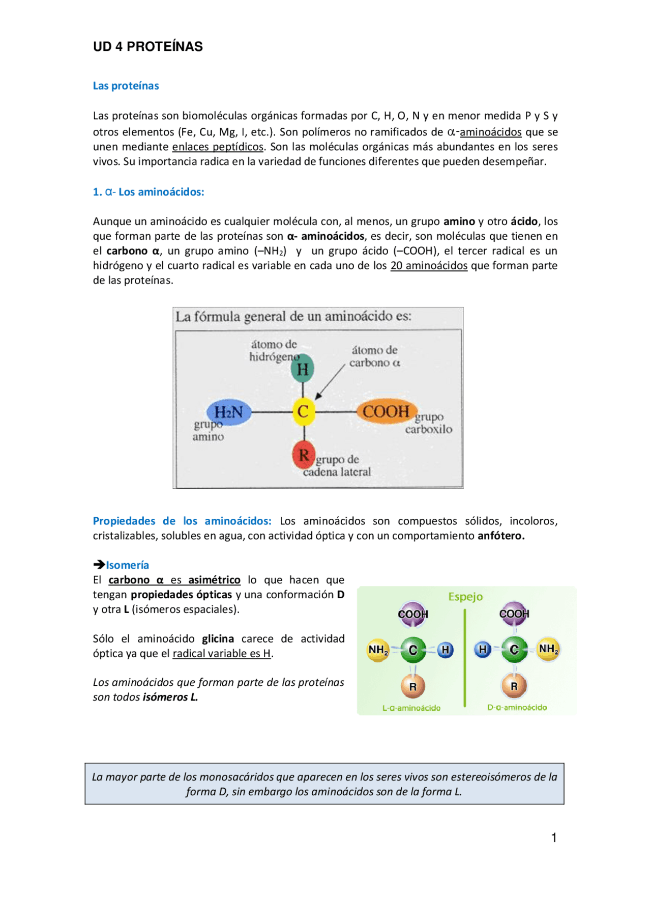 Características básicas de las proteínas: estructura, funciones y ...