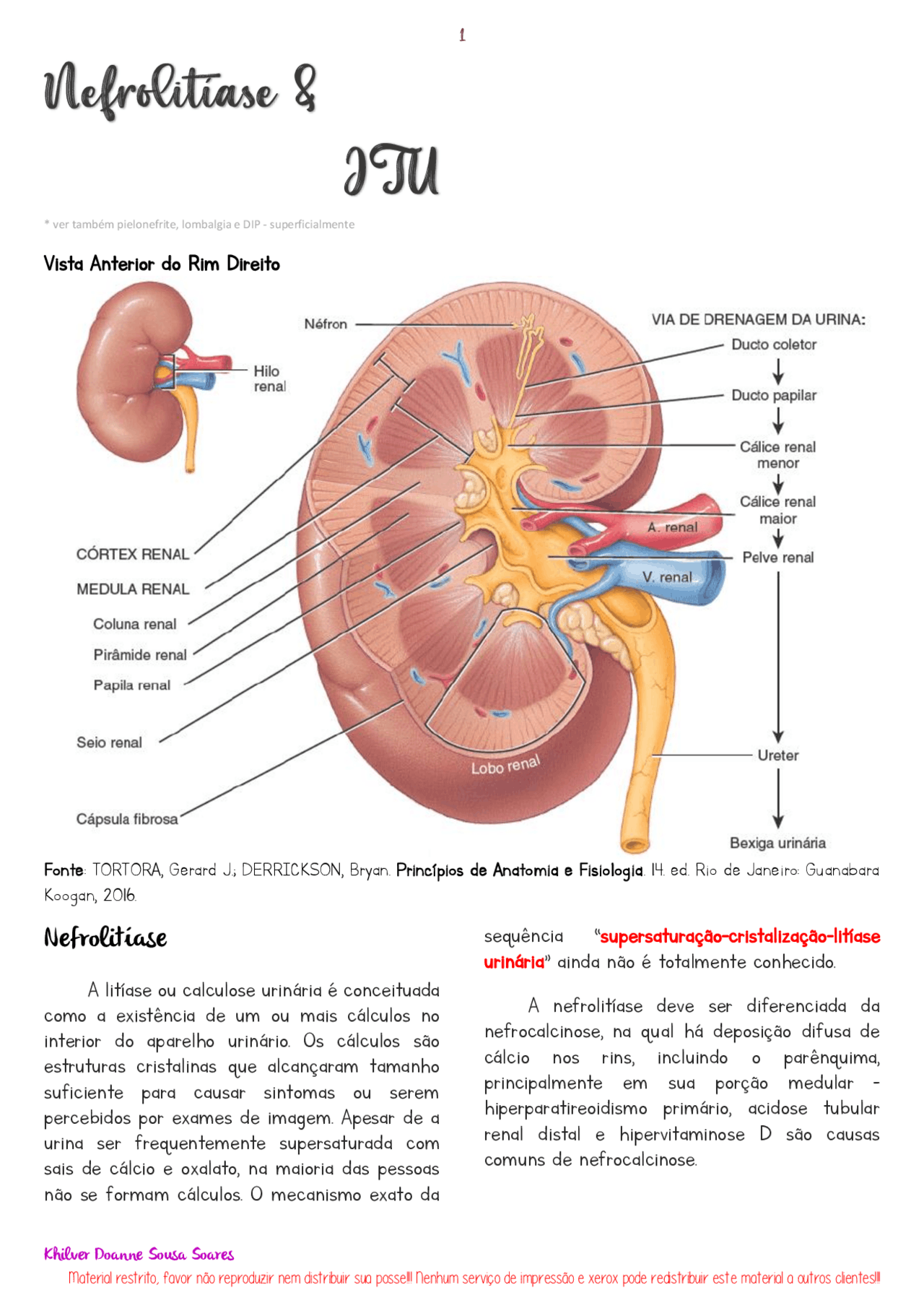 Sintomas De Nefrolitiase Resumo De Nefrolitíase Ou Pedra No Rim: O