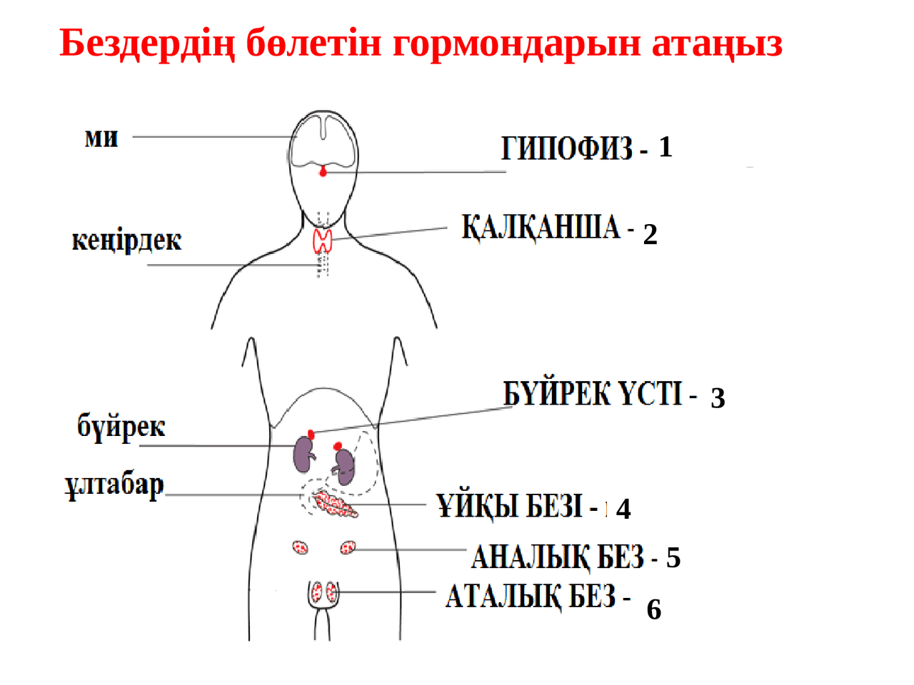 Толық HD порно онлайн көру Жас кеудеге арналған онлайн порно
