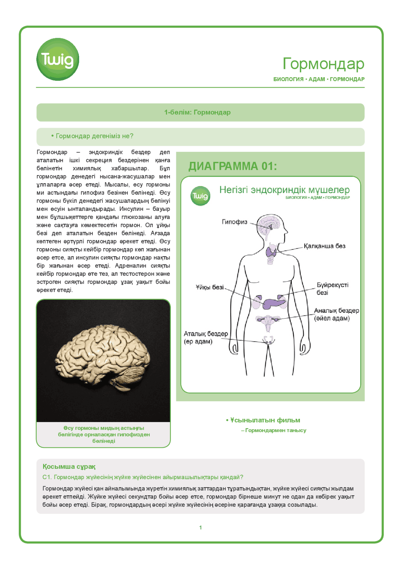 Порно ақ брюнеткалар Үлкен жопаны блять