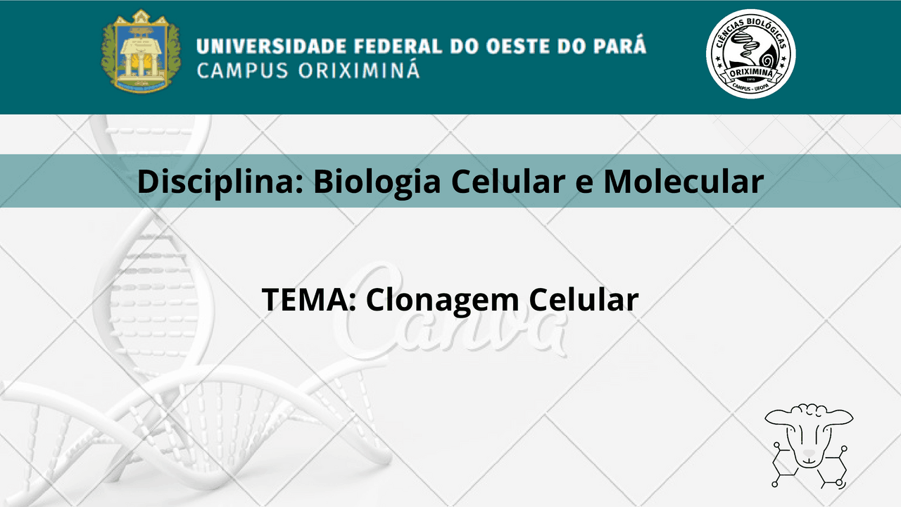 Clonagem Celular - Biologia Celular e Molecular | Slides Biologia ...