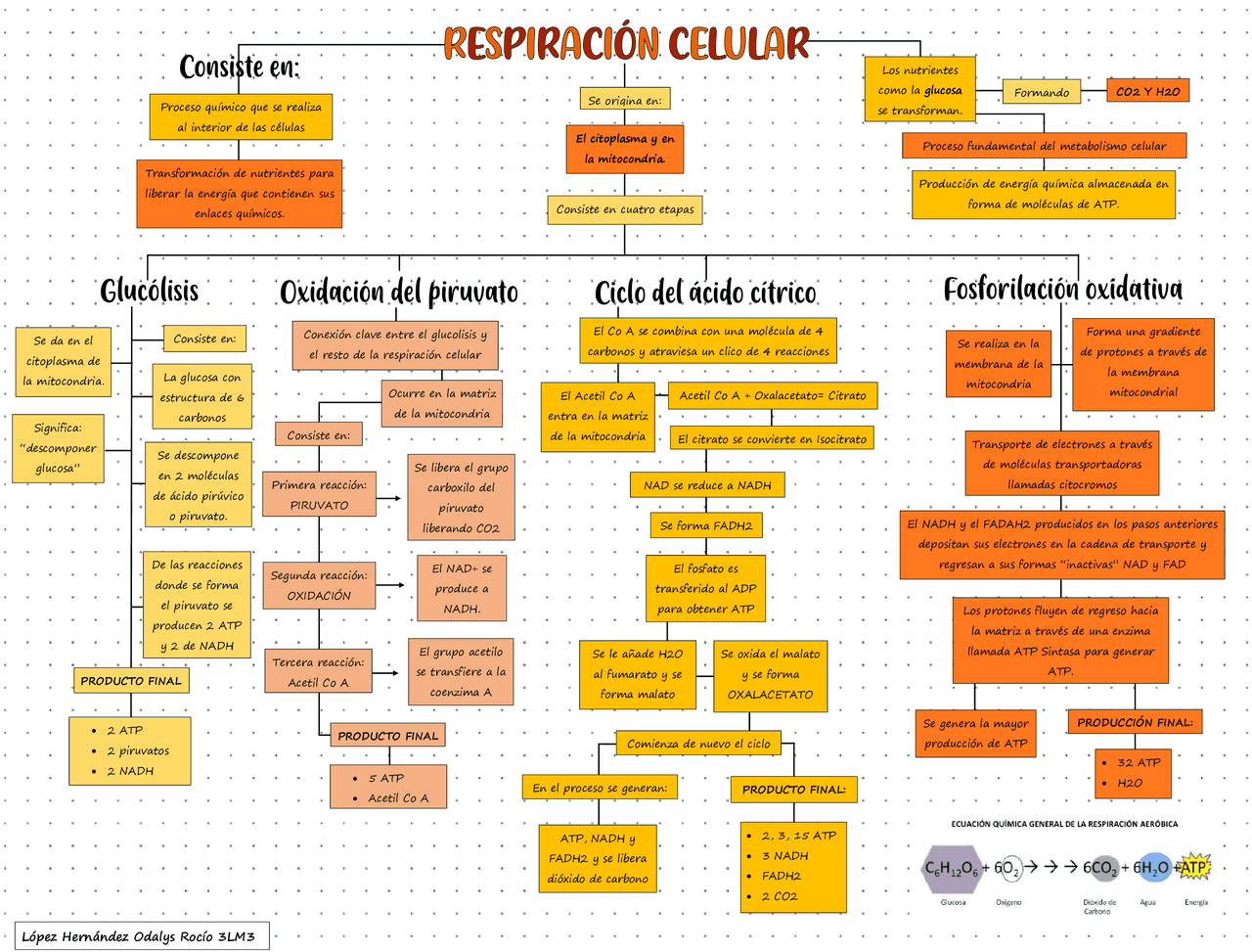 Mapa Conceptual De La Respiracion Celular