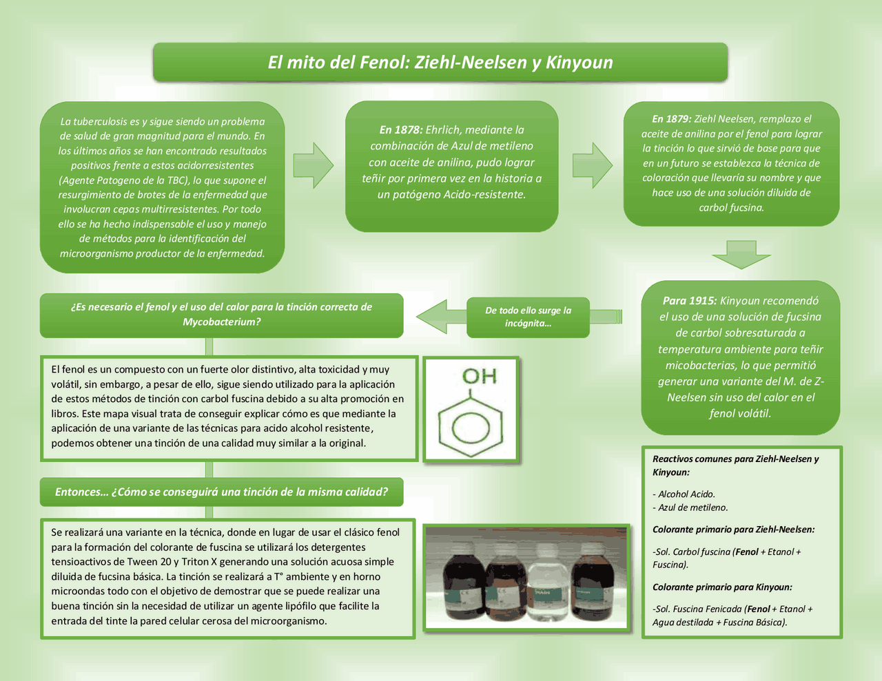 El Mito del Fenol La Tinción de ZiehlNeelsen y Kinyoun Esquemas y