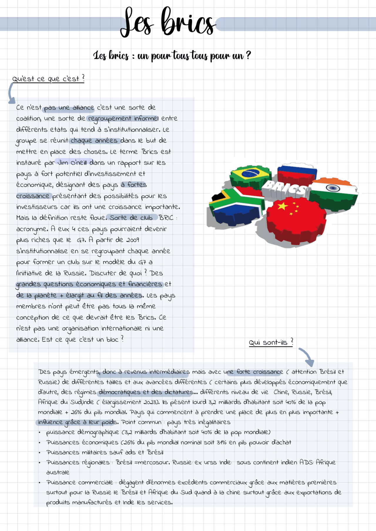 fiche de cours sur les brics | Notes Histoire | Docsity