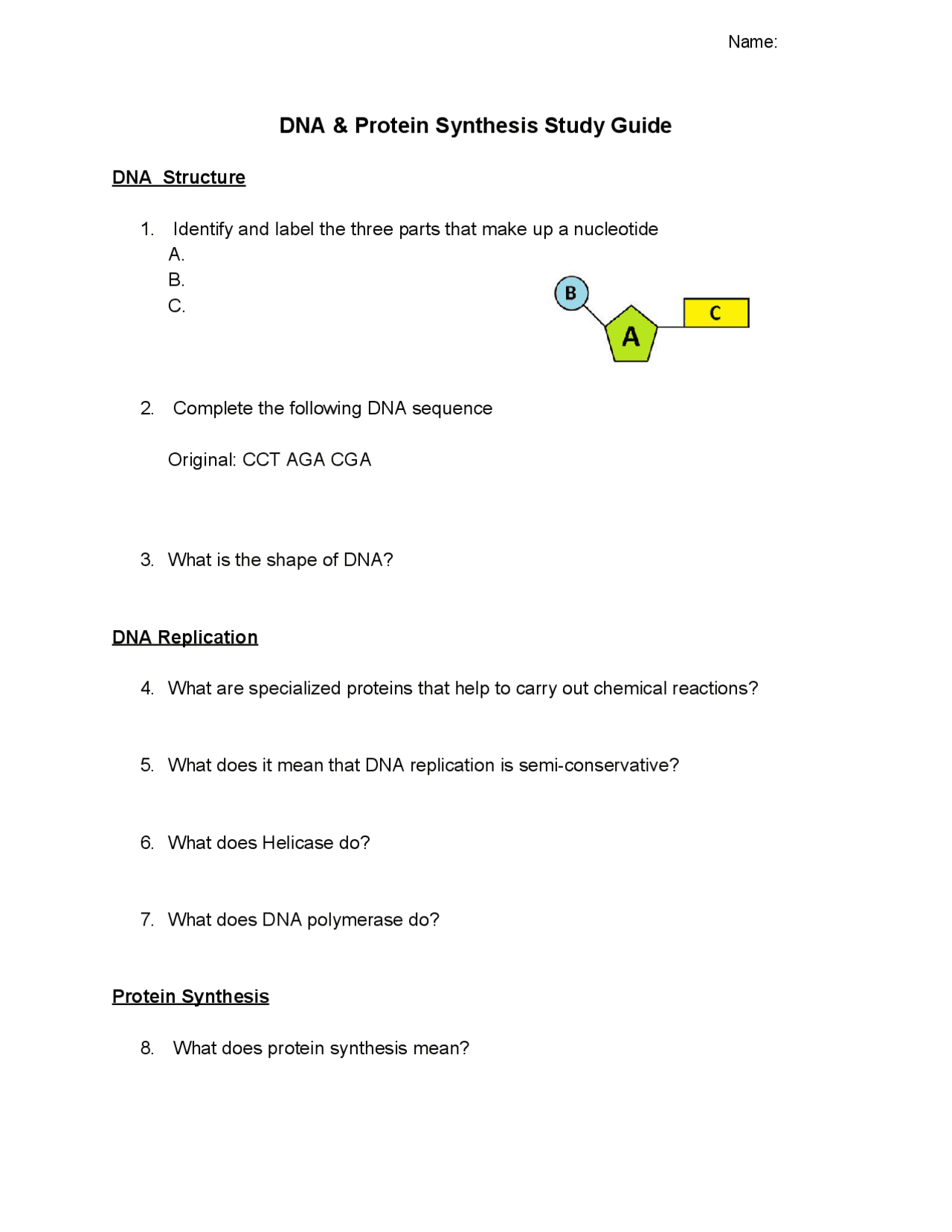 DNA replication and Protein Synthesis Quizzes Earth science Docsity