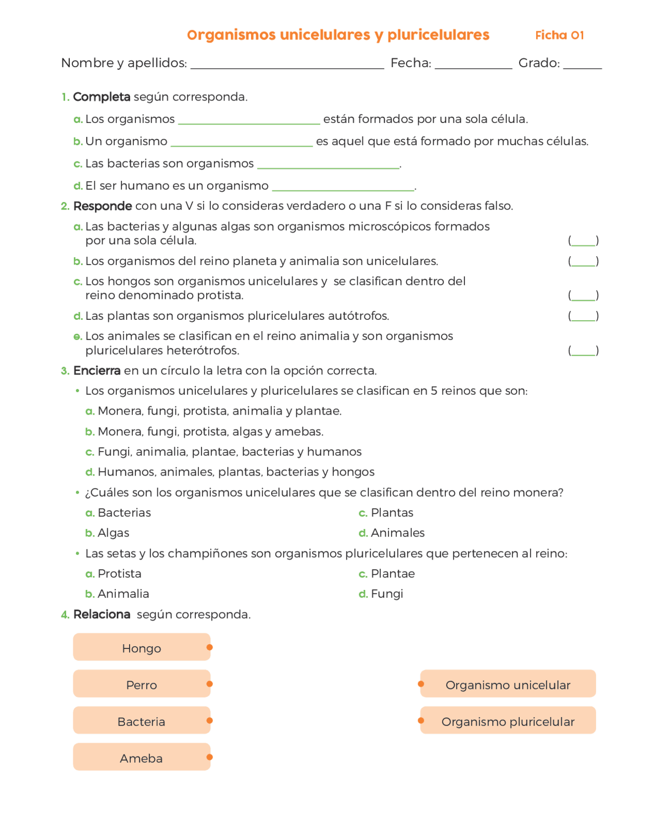 Organismos Unicelulares y Pluricelulares: Ejercicios de Biología Básica |  Guías, Proyectos, Investigaciones de Biología Celular | Docsity