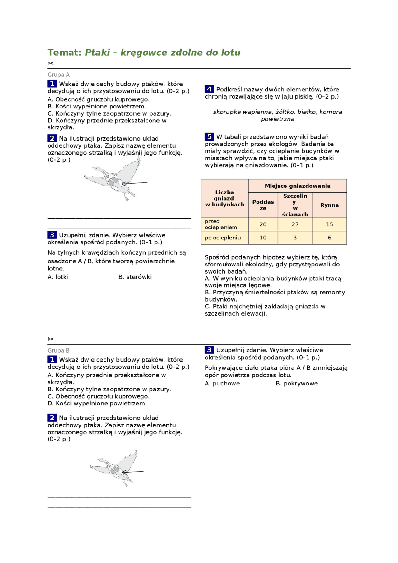 Sprawdzian Kl Vi Ptaki Kregiwce Latajace www.docsity.com