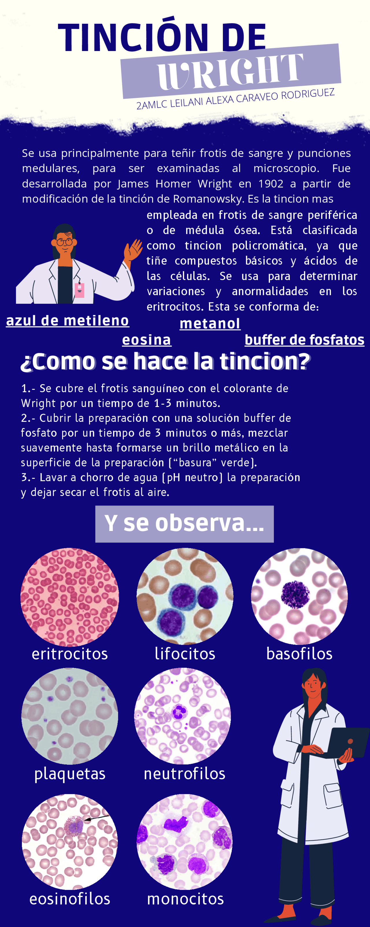 Tinción de Wright: Técnica y Aplicaciones en Hematología | Apuntes de ...