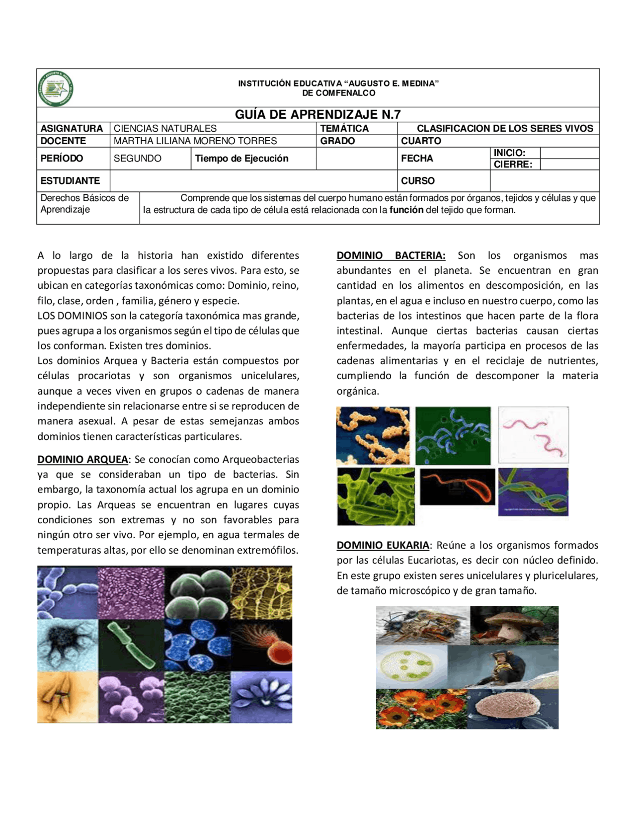 Clasificación de los seres vivos: Dominios, reinos, filos y grupos |  Diapositivas de Biología | Docsity