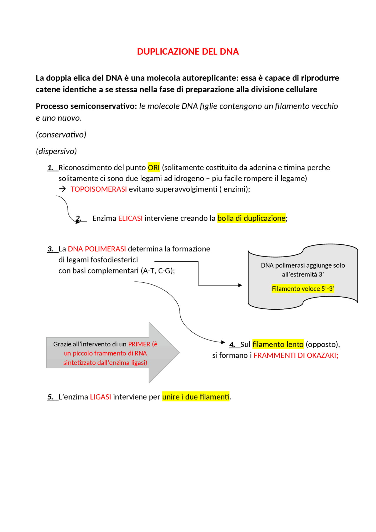Mappa concettuale sul processo di duplicazione del DNA | Schemi e mappe ...