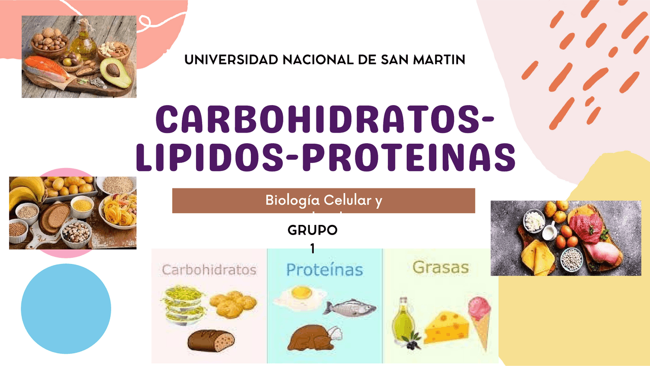 Que Son Los Carbohidratos Lipidos Y Proteinas