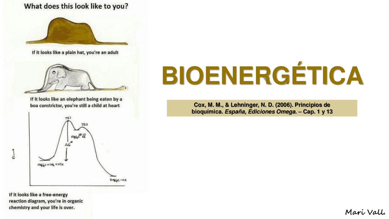 apunte de bioenergetica | Apuntes de Ciencias Biologicas | Docsity