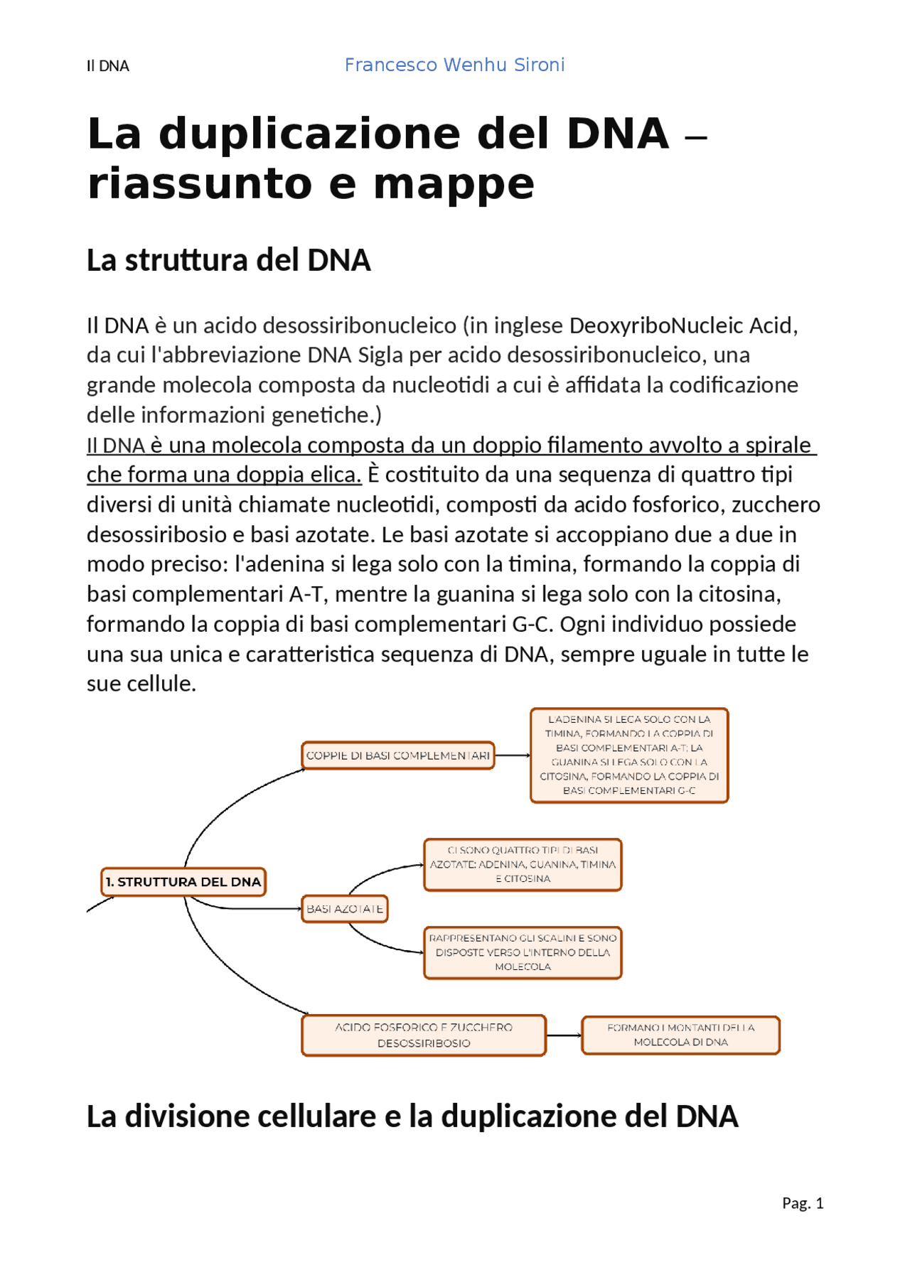 Dna Del Roo Struttura Del Nucleotide La Struttura Del DNA 3 La Doppia Elica E I
