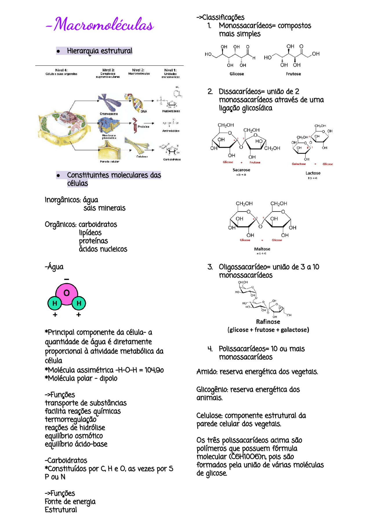 Quatro Macromoleculas E Suas Funcoes Proteínas, Aminoácidos E