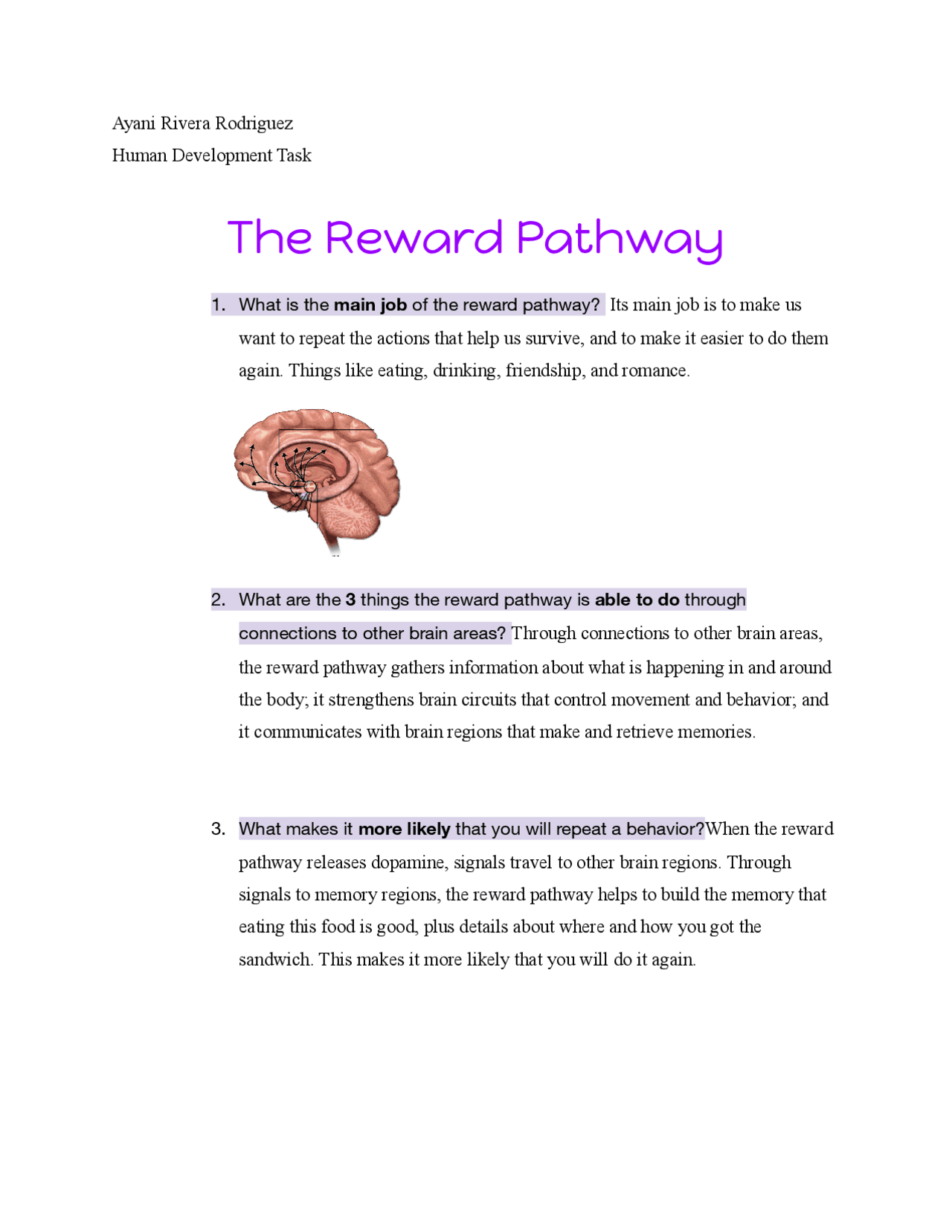 The Reward Pathaway and its functions | Guías, Proyectos ...