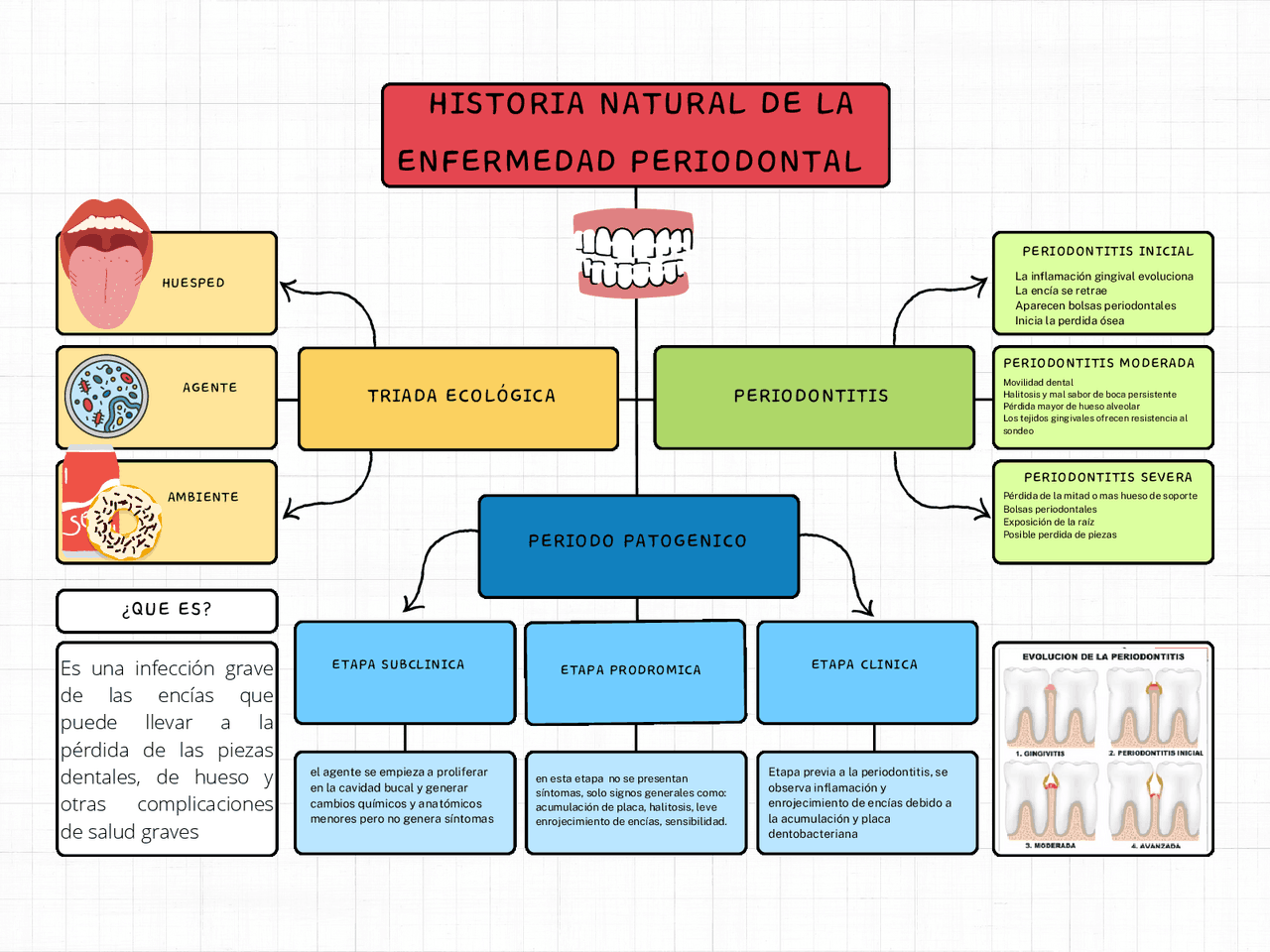 Historia Natural De La Enfermedad Periodontal www.docsity.com