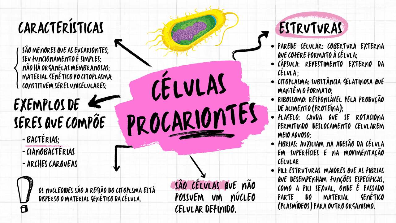 Estrutura E Funcao Das Celulas Procarioticas Estruturas Celulares